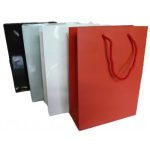 PREMIUN - SACOS COM CORDÃO - 6301 - PAPEL COUCHÉ - PLASTIFICAÇÃO BRILHO - DIMENSÕES (LXAXF) 140X190X60 MM