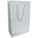 PREMIUN - SACOS COM CORDÃO - 6312 - PAPEL COUCHÉ - PLASTIFICAÇÃO BRILHO - DIMENSÕES (LXAXF) 160X250X80 MM