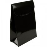 SHINY - 0106.2 - Saco cartolina - 100x120x50 mm - Image 4