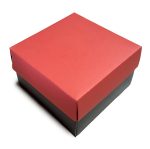 BOSTON / HELVÉTICA - 1812-1912 - CAIXA CARTÃO ESCRAVA/RELÓGIO - 80X80X55 MM - Image 6